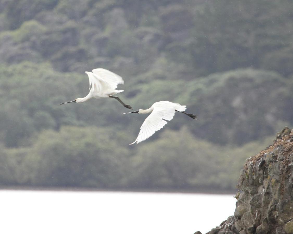 ケリケリ Aroha Islandヴィラ エクステリア 写真